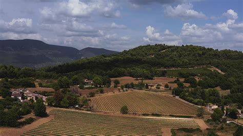 Improving Vineyard Efficiency: A Tuscan Perspective on Sustainable Practices and Modern Techniques! 