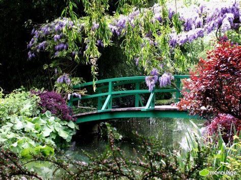  Jardins du Monde: Un Viaggio Botanico tra Cultura e Natura