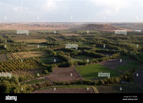  Lush Landscapes: A Journey Through Anatolian Agriculture