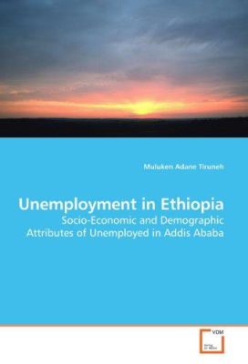  Understanding Ethiopian Identity: Unveiling the Layers of Urban Ethiopia: The Socio-Economic Dynamics of Addis Ababa